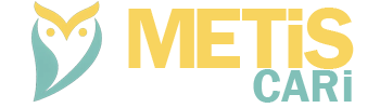 MetisCari